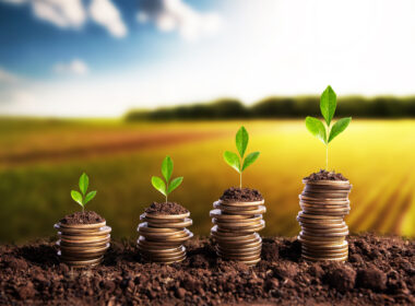 Agro alcança R$ 1,406 trilhão em agosto e amplia renda do produtor, crédito e exportações