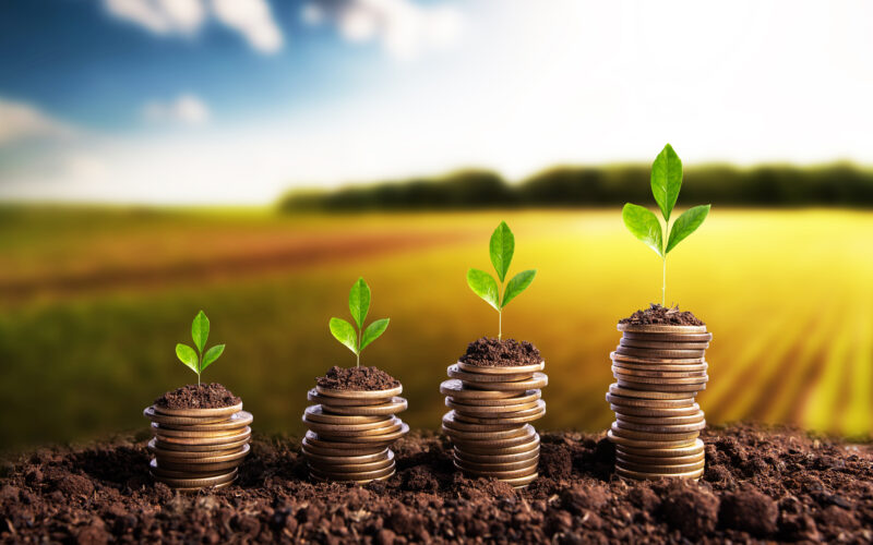 Agro alcança R$ 1,406 trilhão em agosto e amplia renda do produtor, crédito e exportações