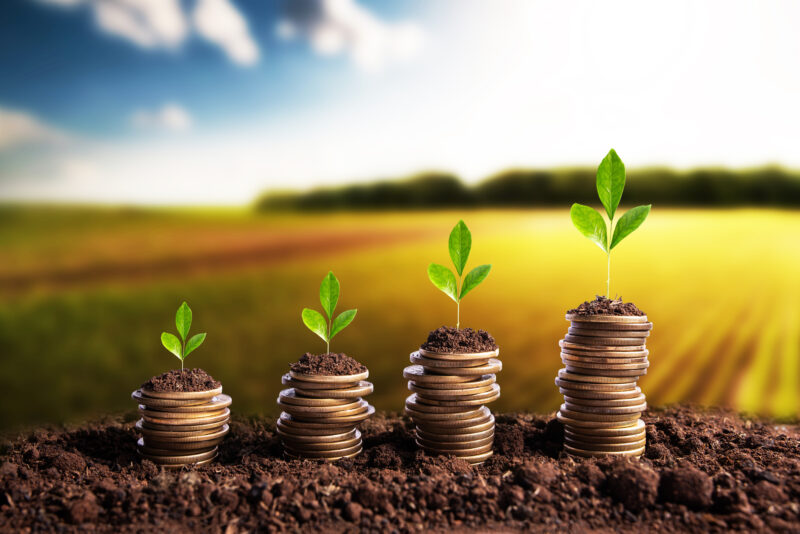 Agro alcança R$ 1,406 trilhão em agosto e amplia renda do produtor, crédito e exportações