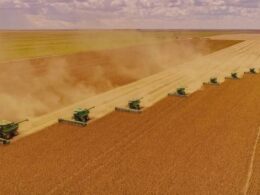 Agro cresce 12,2% com supersafra e impulsiona resultados positivos do PIB no primeiro trimestre de 2024 8 agro cresce 122 com supersafra e impulsiona resultados positivos do