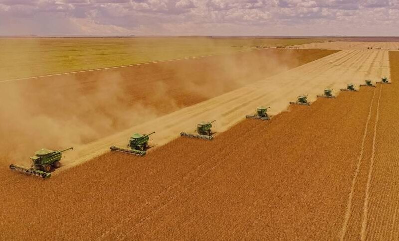 agro cresce 122 com supersafra e impulsiona resultados positivos do