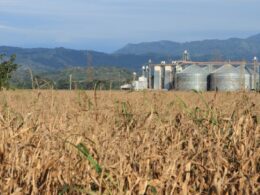 Agroindústria cresce 1% em abril, sinalizando oportunidades e estabilidade para o setor rural.