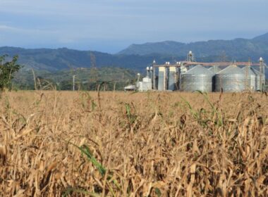 Agroindústria cresce 1% em abril, sinalizando oportunidades e estabilidade para o setor rural.