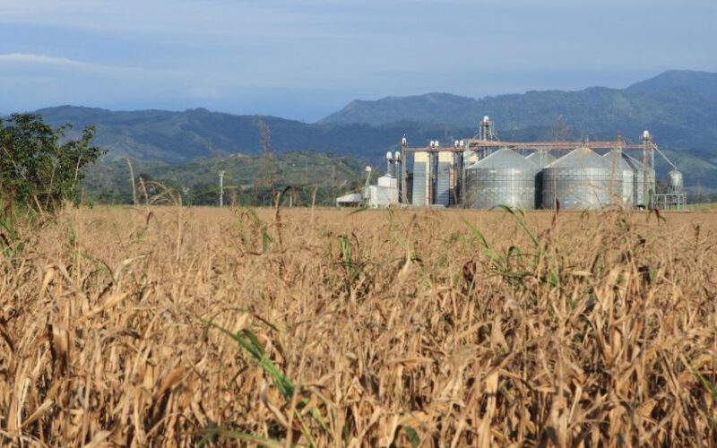 Agroindústria cresce 1% em abril, sinalizando oportunidades e estabilidade para o setor rural.