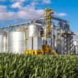 agroindustria em alta crescimento de 32 no semestre promete impulsionar