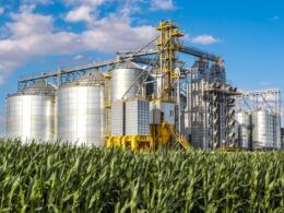 agroindustria em alta crescimento de 32 no semestre promete impulsionar