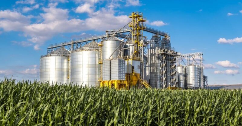 agroindustria em alta crescimento de 32 no semestre promete impulsionar