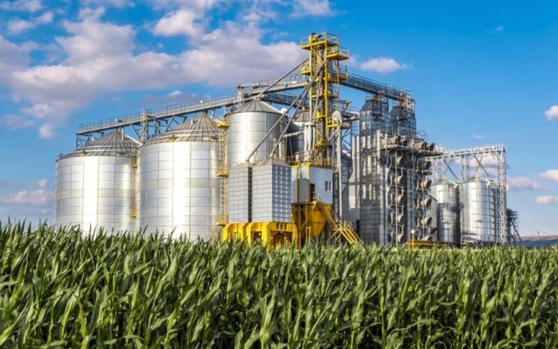 agroindustria em alta crescimento de 32 no semestre promete impulsionar