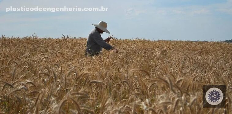 agronegocio brasileiro alcanca 282 milhoes de empregos em 2024 impulsionando