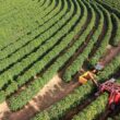 agronegocio brasileiro traca caminhos sustentaveis para a cop30 e fortalece