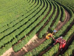 agronegocio brasileiro traca caminhos sustentaveis para a cop30 e fortalece