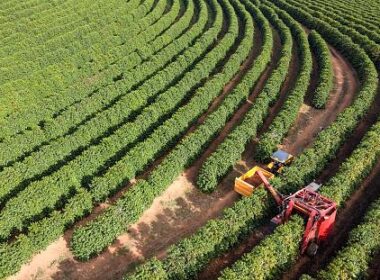 agronegocio brasileiro traca caminhos sustentaveis para a cop30 e fortalece