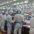 Agronegócio em 2024: como os 28,2 milhões de empregos transformam a economia brasileira e impulsionam o futuro profissional