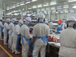 Agronegócio em 2024: como os 28,2 milhões de empregos transformam a economia brasileira e impulsionam o futuro profissional 17 Agronegócio em 2024: como os 28,2 milhões de empregos transformam a economia brasileira e impulsionam o futuro profissional