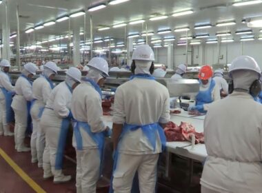 Agronegócio em 2024: como os 28,2 milhões de empregos transformam a economia brasileira e impulsionam o futuro profissional