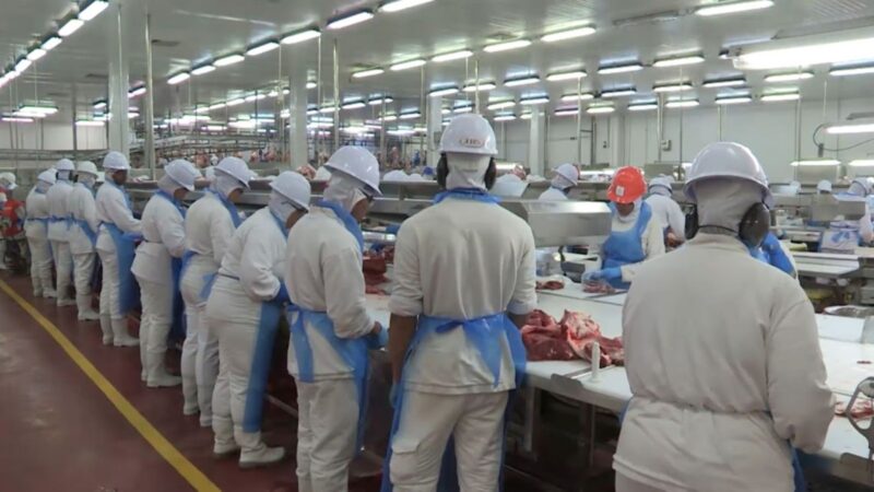 Agronegócio em 2024: como os 28,2 milhões de empregos transformam a economia brasileira e impulsionam o futuro profissional