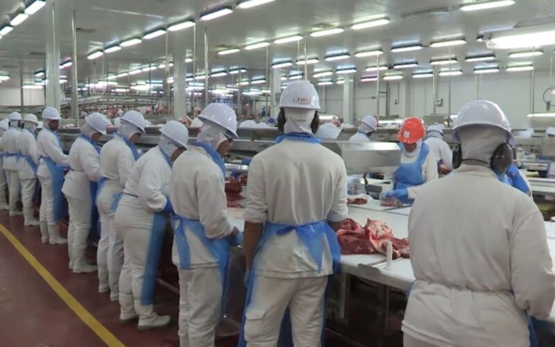 Agronegócio em 2024: como os 28,2 milhões de empregos transformam a economia brasileira e impulsionam o futuro profissional
