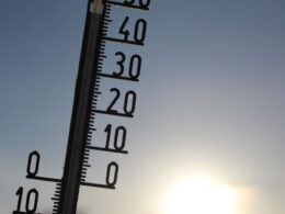 Previsão é de oscilações de temperatura e estresse térmico para a agropecuária