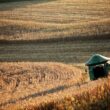 agropecuaria promete crescimento robusto de 131 no vbp de 2025 impulsionando lucros e oportunidades no setor