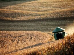 agropecuaria promete crescimento robusto de 131 no vbp de 2025 impulsionando lucros e oportunidades no setor