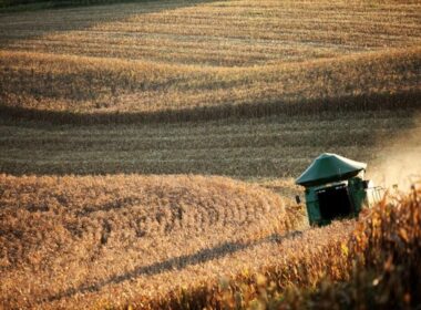 agropecuaria promete crescimento robusto de 131 no vbp de 2025 impulsionando lucros e oportunidades no setor