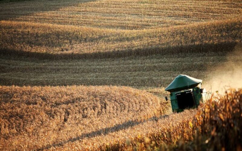 agropecuaria promete crescimento robusto de 131 no vbp de 2025 impulsionando lucros e oportunidades no setor