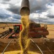 alerta para agricultores queda no preco da soja em chicago