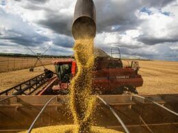 alerta para agricultores queda no preco da soja em chicago