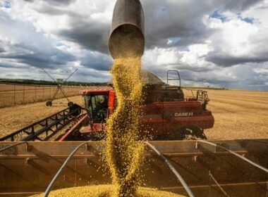 alerta para agricultores queda no preco da soja em chicago