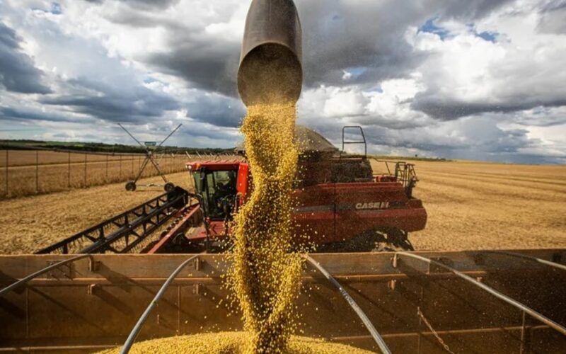 alerta para agricultores queda no preco da soja em chicago