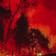 alerta parana a beira de um recorde desolador de incendios