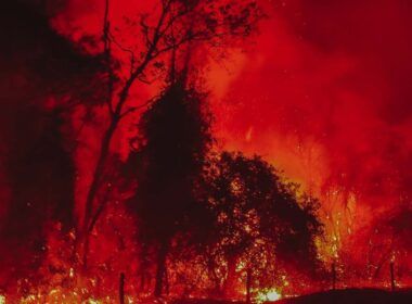 alerta parana a beira de um recorde desolador de incendios