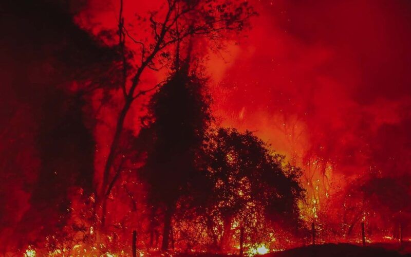alerta parana a beira de um recorde desolador de incendios