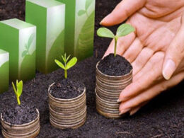 Alesp aprova FUNDESA: uma vitória para pecuaristas e o futuro da pecuária! 27 alesp aprova fundesa uma vitoria para pecuaristas e o futuro