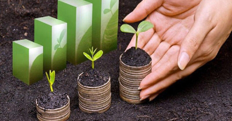 alesp aprova fundesa uma vitoria para pecuaristas e o futuro