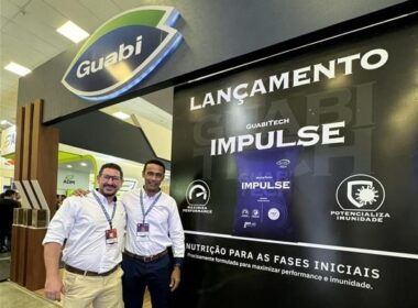 alimentacao inteligente como racoes avancadas elevam a saude e o