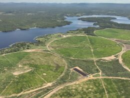 Angus de 16 meses com quase 20@: conheça a fazenda na Bahia que combina excelência e natureza exuberante 12 Angus de 16 meses com quase 20@: conheça a fazenda na Bahia que combina excelência e natureza exuberante