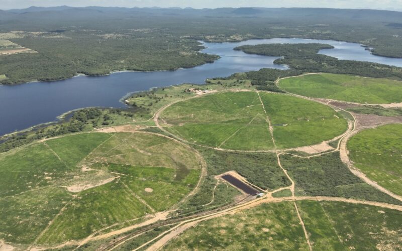 Angus de 16 meses com quase 20@: conheça a fazenda na Bahia que combina excelência e natureza exuberante