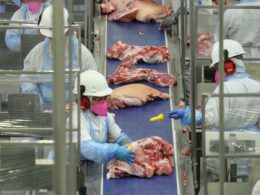 Aposta do Paraná: Inclusão Feminina Impulsiona Sustentabilidade e Eficiência em Frigoríficos de Suínos, Transformando o Mercado de Trabalho 25 aposta do parana inclusao feminina impulsiona sustentabilidade e eficiencia em