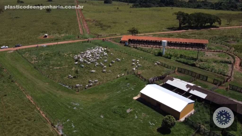 Recria intensiva a pasto acelera abate, corta custos e maximiza lucro por hectare na pecuária moderna 5 Campo experimental de bovinos de corte da Apta de Colina, o berço do