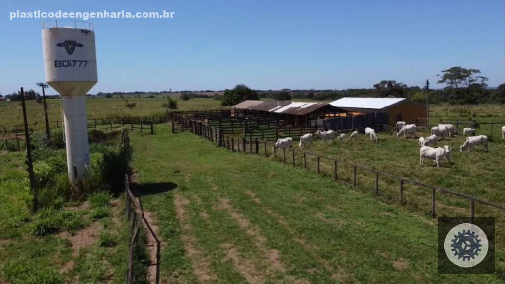 Recria intensiva a pasto acelera abate, corta custos e maximiza lucro por hectare na pecuária moderna 3 Campo experimental de bovinos de corte da Apta de Colina, o berço do