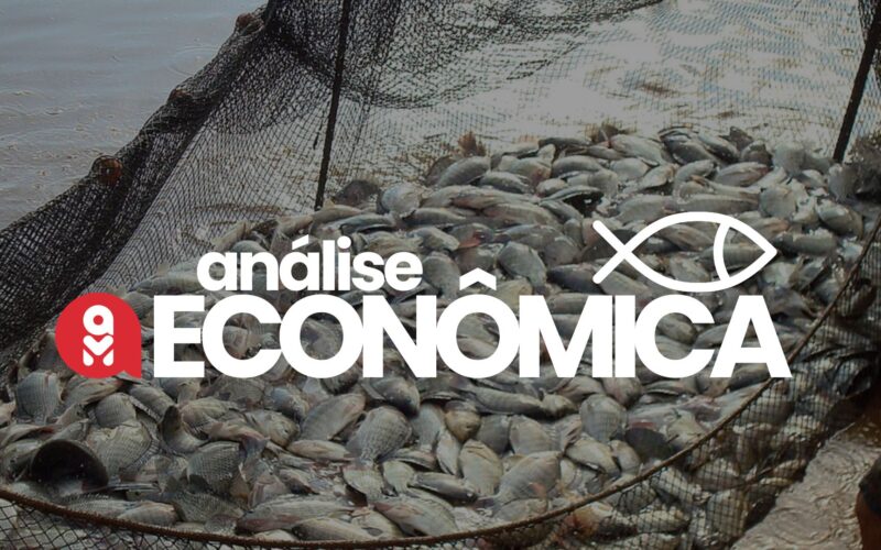 aquicultura em alta como o crescimento do mercado de peixes