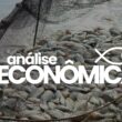Aquicultura em alta: estabilidade nos preços e crescimento das exportações garantem lucros sustentáveis.