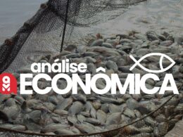 aquicultura em alta precos em ascensao e producao sustentavel desenhando
