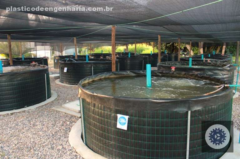 Aquicultura no Ceará: capacitação e apoio transformam a produção e impulsionam a sustentabilidade no setor.