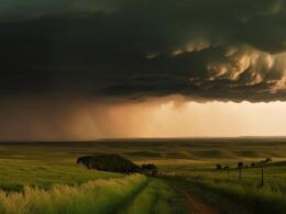 Tem alerta climático para o mês de março em áreas agropecuárias. Confira