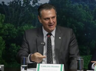 Atualizações do governo sobre Influenza Aviária informam medidas essenciais para proteção da saúde pública.