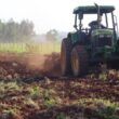 Fertilizante organomineral: como essa poderosa ferramenta impulsiona o crescimento do pasto