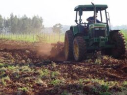 Fertilizante organomineral: como essa poderosa ferramenta impulsiona o crescimento do pasto