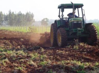 Fertilizante organomineral: como essa poderosa ferramenta impulsiona o crescimento do pasto